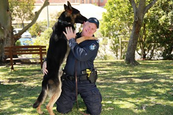 Movember Police Dog 20