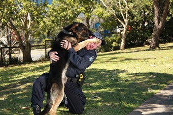 Movember Police Dog 36